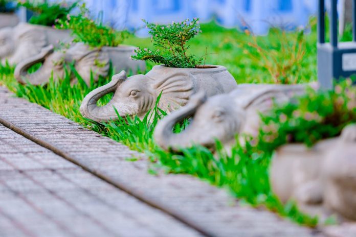 افضل شركة تنسيق حدائق في ابوظبي افضل شركة تنسيق حدائق في ابوظبي